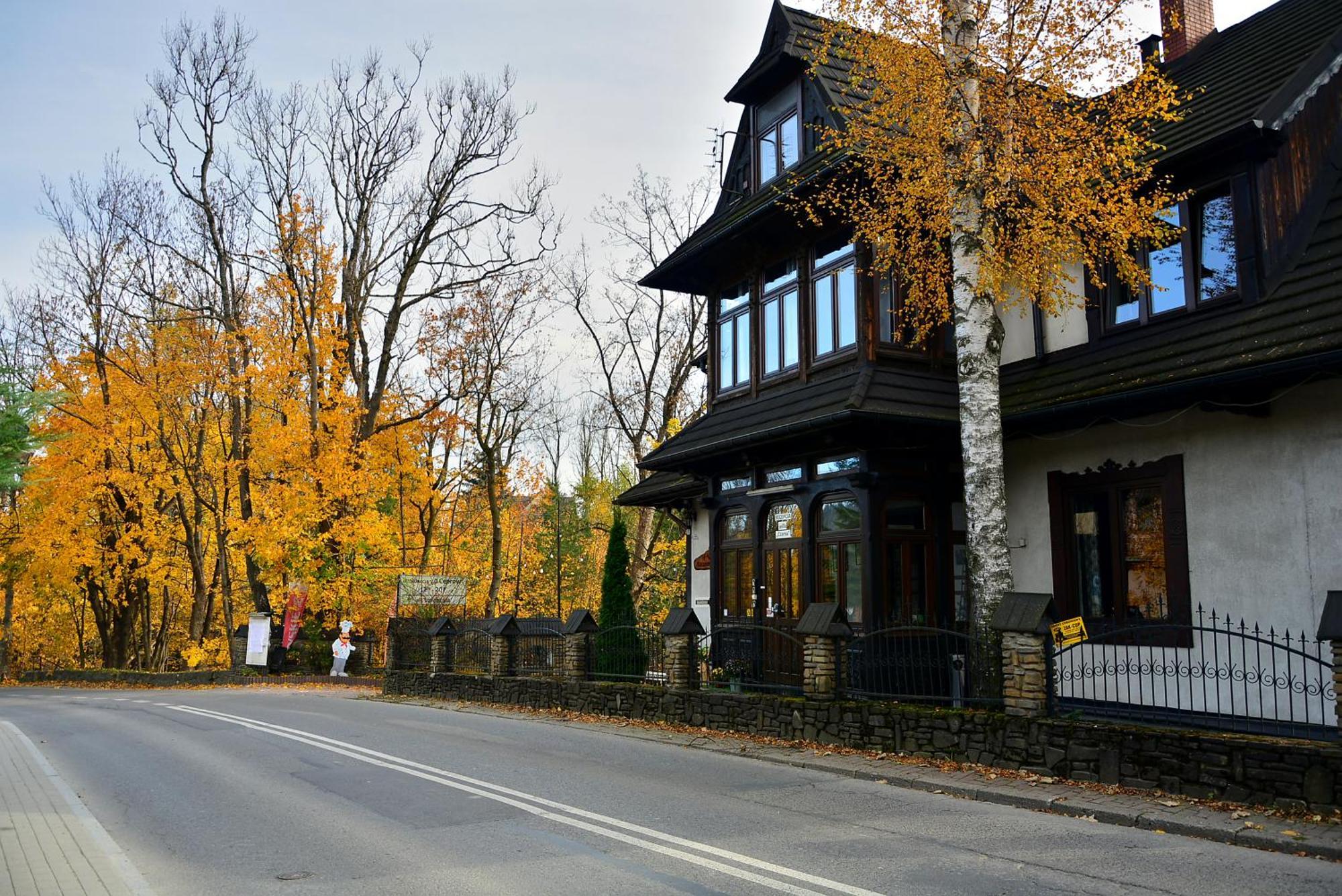 Czarna Willa Zakopane Eksteriør billede